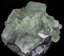 Cubic, Green Fluorite (Dodecahedral Edges) - (Special Price) #32415-2